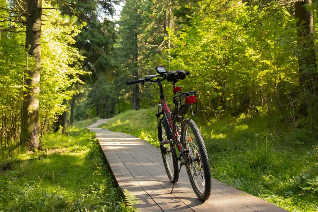 Bicicletta parcheggiata su una passerella di legno immersa in un sentiero boschivo illuminato dalla luce del sole.